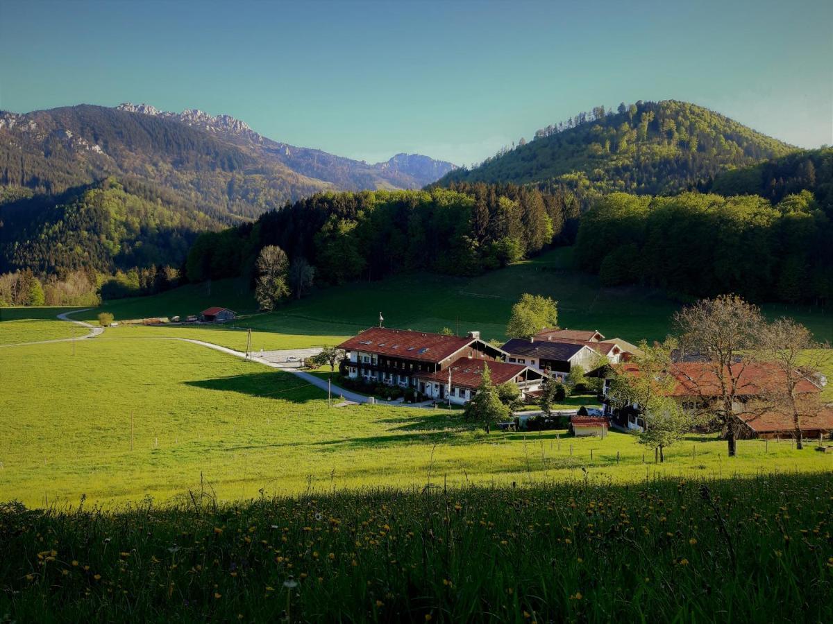 Gschwendtnerhof App10 Krausw Aschau im Chiemgau Exterior foto